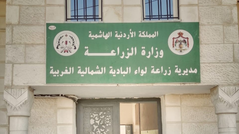 الامطار تنعش الزراعة والمياه في البادية الشمالية الغربية