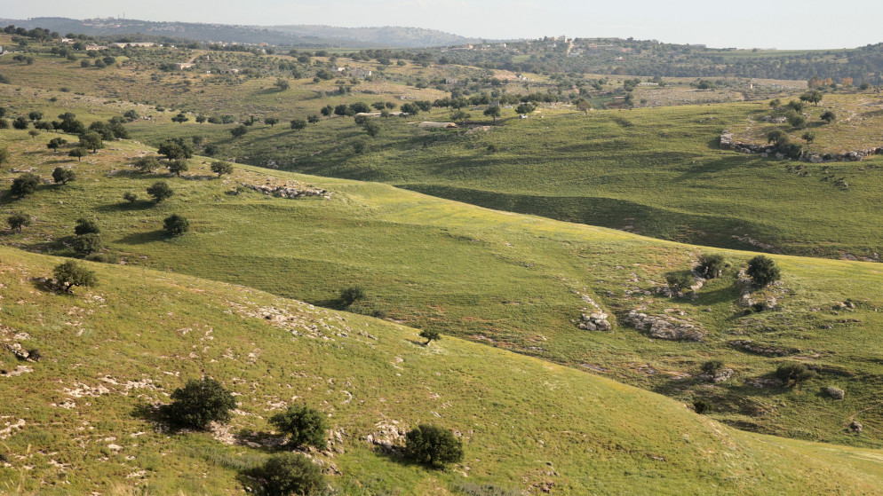 طقس دافئ يبدأ من الاثنين في الاردن مع ارتفاعات ملحوظة في الحرارة